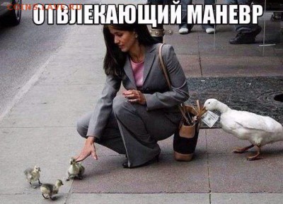 юмор - 6mR1LKQR5u8