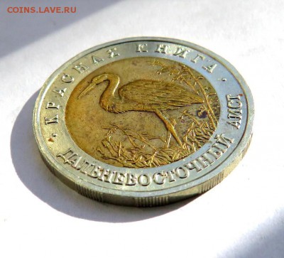 Красная книга АИСТ до 07.06.19 г. 22:00 - IMG_0201.JPG