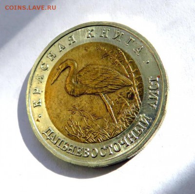 Красная книга АИСТ до 07.06.19 г. 22:00 - IMG_0200.JPG