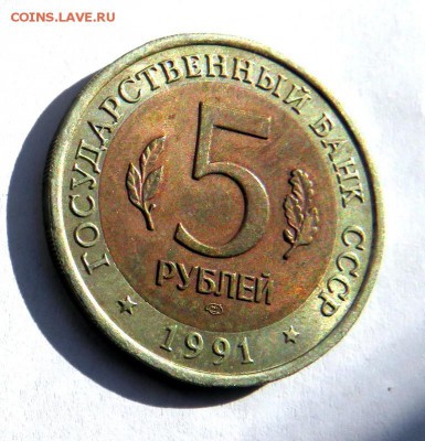 Красная книга ФИЛИН 1991 г. до 07.0619 г. 22:00 - IMG_0184.JPG