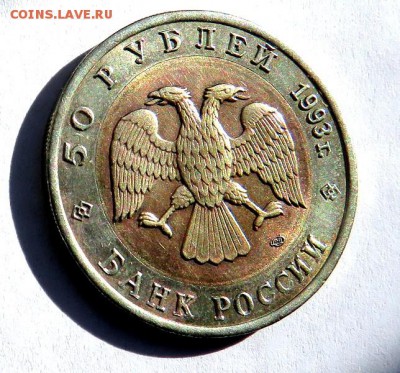 Красная книга АФАЛИНА 1993 г. до 07.06.19 г. 22:00 - IMG_0179.JPG