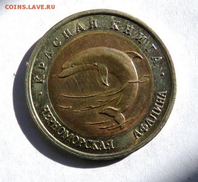 Красная книга АФАЛИНА 1993 г. до 07.06.19 г. 22:00 - IMG_0175.JPG