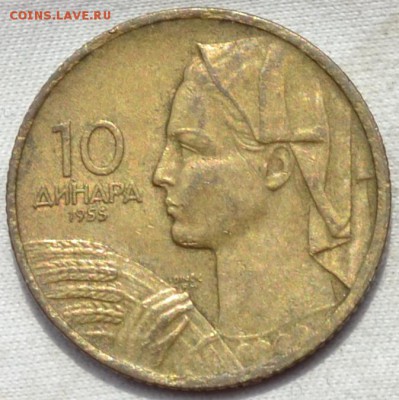 Югославия 10 динар 1955. 04. 06. 2019. в 22 - 00. - DSC_0116