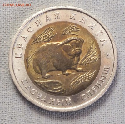 КК песчаный слепыш 50 руб 1994 г. до 08.06.19 в 22:10 - DSCF3253.JPG