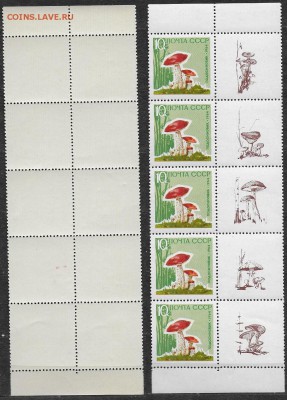 Марки СССР 1964. №3126А. Подосиновик с купонами. Полоска - грибы1