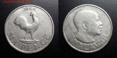 МОНЕТЫ МИРА 05-19 - Малави – 6 пенсов (1964) «Петух» медь-ник.-цинк (XF) У1
