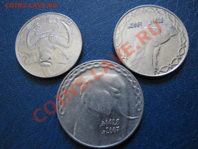 Алжир 1-2-5 динаров 2007 Буйвол-Верб-Слон до 04.07 в 21.00 М - IMG_0022