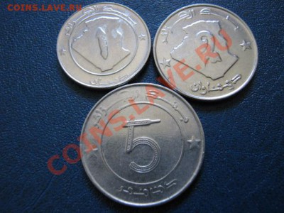 Алжир 1-2-5 динаров 2007 Буйвол-Верб-Слон до 04.07 в 21.00 М - IMG_0021
