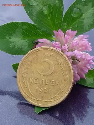 5 копеек 1927 год - IMG-20190603-WA0080