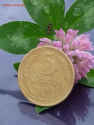 5 копеек 1927 год - IMG-20190603-WA0079