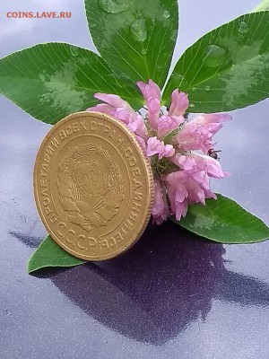 5 копеек 1927 год - IMG-20190603-WA0075