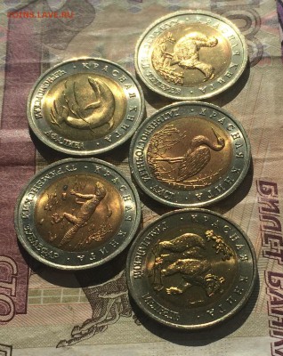 Красная Книга.50 руб.1993г.Комплект 5 шт.В блеске.до 06.06. - IMG_2209.JPG