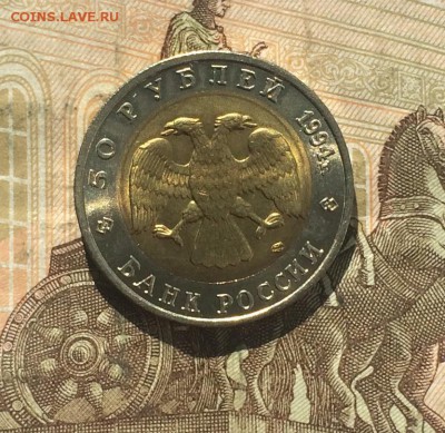 50 рублей 1994г. Кр.Книга.Фламинго. Шт.блеск до 06.06.19 - IMG_2218.JPG