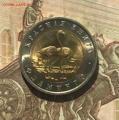 50 рублей 1994г. Кр.Книга.Фламинго. Шт.блеск до 06.06.19 - IMG_2216.JPG