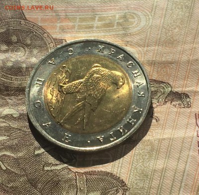 50 рублей 1994г. Кр.Книга. Сапсан. Шт.блеск до 06.06.19 - IMG_2230.JPG
