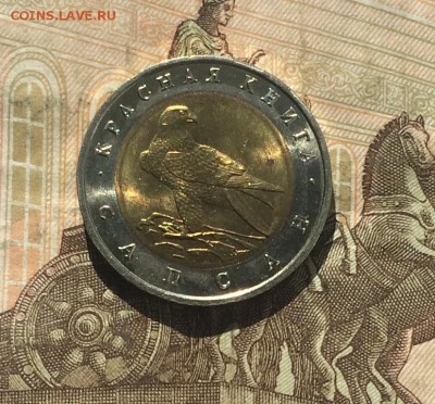 50 рублей 1994г. Кр.Книга. Сапсан. Шт.блеск до 06.06.19 - IMG_2229.JPG