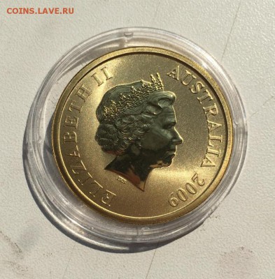 Австралия 1$ доллар 2009 Австралийский малый Пингвин - avstralija_1_dollar_2009_avstralijskij_malyj_pingvin_shtat_viktorija_zhivotnye_ptica_fauna_emal (1)