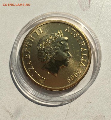 Австралия 1$ доллар 2009 Вомбат Штат Южная Австралия Животны - avstralija_1_dollar_2009_vombat_shtat_juzhnaja_avstralija_zhivotnye_fauna_emal (3)