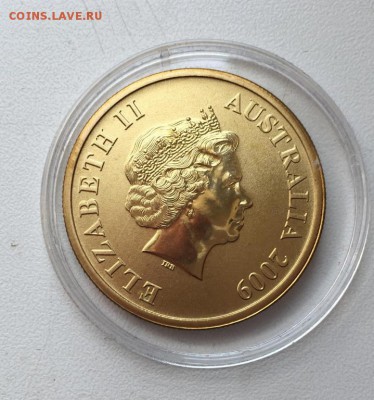 Австралия 1$ доллар 2009 Вомбат Штат Южная Австралия Животны - avstralija_1_dollar_2009_vombat_shtat_juzhnaja_avstralija_zhivotnye_fauna_emal (1)