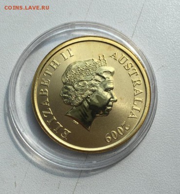 Австралия 1$ доллар 2009 Австралийский узкорылый крокодил - avstralija_1_dollar_2009_avstralijskij_uzkorylyj_krokodil_shtat_severnaja_territorija_zhivotnye_fauna (3)