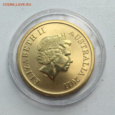 Австралия 1$ доллар 2011 Казуар Влажные тропики Квинсленда - avstralija_1_dollar_2011_kazuar_vlazhnye_tropiki_kvinslenda_zhivotnye_fauna_ptica_emal (1)