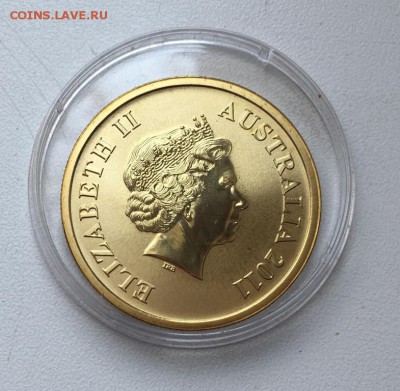 Австралия 1$ доллар 2011 Морской котик острова Маккуори - avstralija_1_dollar_2011_morskoj_kotik_tjulen_ostrova_makkuori_zhivotnye_fauna_emal (1)
