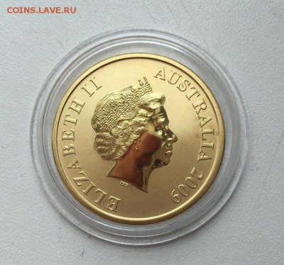 Австралия 1$ доллар 2009 Черепаха Штат Квинсленд - avstralija_1_dollar_2009_cherepakha_shtat_kvinslend_zhivotnye_fauna_emal (1)