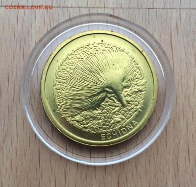 Австралия 1$ доллар 2008 Ехидна Животные Фауна - avstralija_1_dollar_2008_ekhidna_zhivotnye_fauna