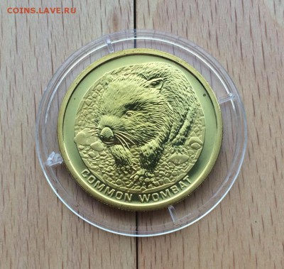 Австралия 1$ доллар 2008 Короткошёрстный вомбат Животные - avstralija_1_dollar_2008_korotkosherstnyj_vombat_zhivotnye_fauna