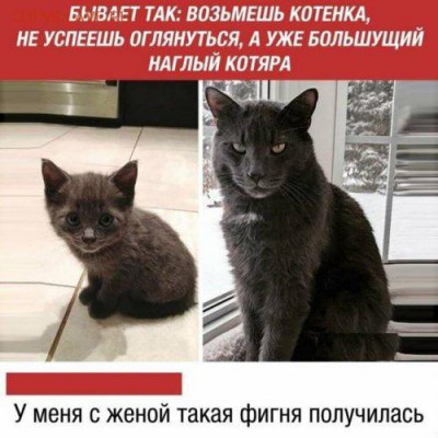 юмор - aAOwVarlSFU