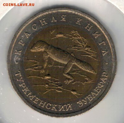 50 рублей 1993 Туркменский эублефар 12.06.19 в 22.00 (Д794) - 2-50э