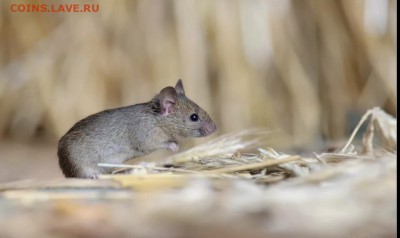 игра "Трансформация слов 2.0" Перезагрузка. - AC0D5C91-398B-482C-A8A0-3FC978DBA47E