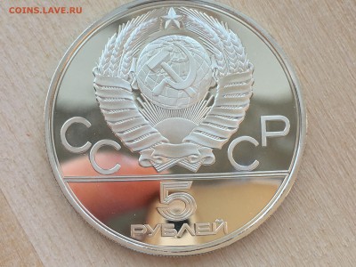 5р Конный спорт ПРУФ до 08.06.2019 22:00 МСК - IMG_0338.JPG
