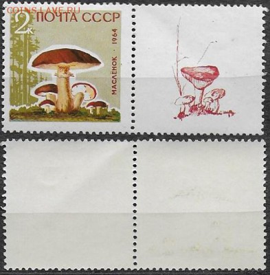 Марки СССР 1964. ФИКС. Грибы с купоном . - 3123А