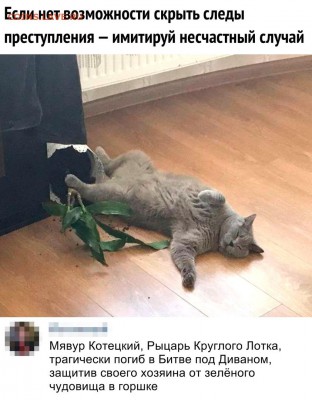 юмор - m_4B6BtJKuc