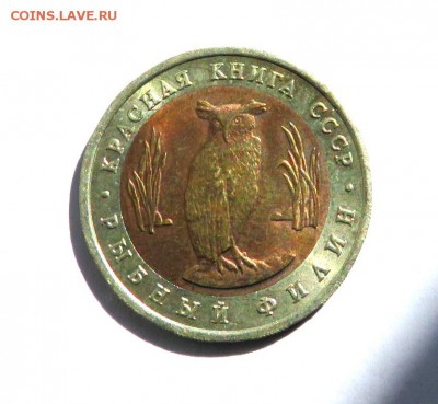 Красная книга ФИЛИН 1991 г. до 15.06.19 г. 22:00 - IMG_0236.JPG