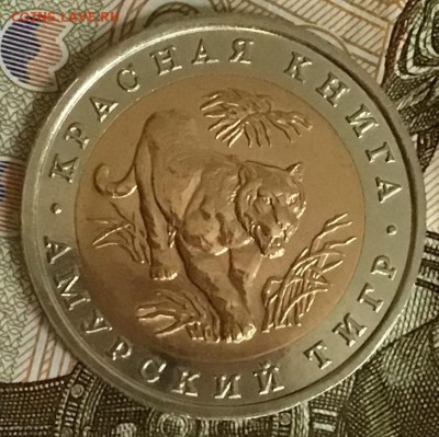 10 рублей 1992 года. Красная книга. До 13.06.19 в 22.00 - 98625C69-CFC3-4CDA-B3F9-0D82A38E9EE0