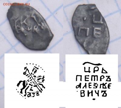 чешуйка цена и определение - DSCF6247.JPG