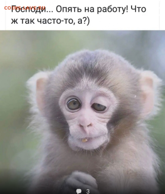 делает - прямо сейчас !!! - IMG_20190611_064034