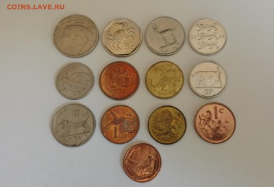 Фауна, подборка из 13 монет №1 до 18.06.2019 г. - IMG_20190612_134513