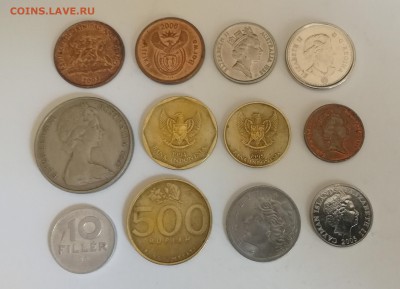 Фауна, подборка из 12 монет №2 до 18.06.2019 г. - IMG_20190612_134922
