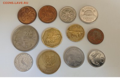 Фауна, подборка из 12 монет №2 до 18.06.2019 г. - IMG_20190612_134822