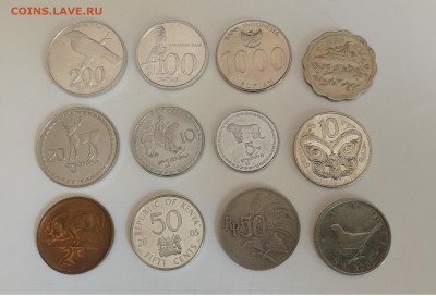 Фауна, подборка из 12 монет №3 до 18.06.2019 г. - IMG_20190612_135046