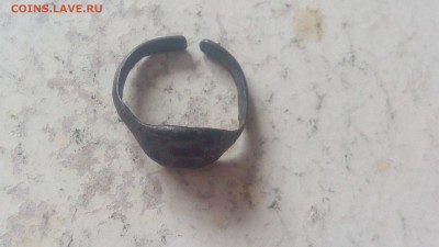 Колечко медное - IMG_20190612_100659