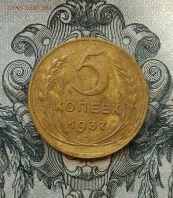 5 копеек 1937 г. до 16.06 в 22.00. - DSCN3804.JPG