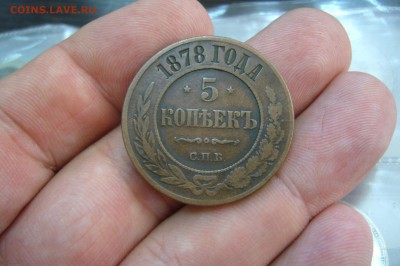 5 копеек 1878 ЕМ - 15-06-19 - 23-10 мск - P2130329.JPG