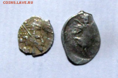 Две чешуйки на определение - IMG_2210.JPG