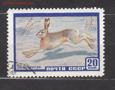 СССР 1960 фауна 1м до 16 06 - 401