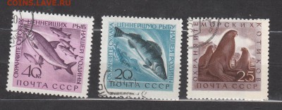 СССР 1960 морская фауна 3м до 16 06 - 403