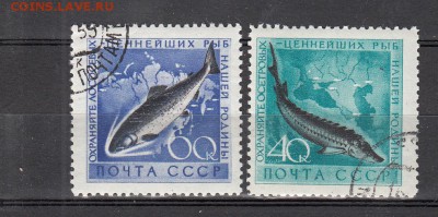 СССР 1959 морская фауна 2м до 16 06 - 408